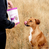 【Green Juju】Freeze Dried Whole Food Bites Goat Purple - 3oz / 85g