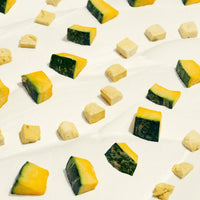 【Wagging Bum】ANYTIME YOGURT! Freeze-dried Yogurt with Pumpkin - 2oz / 56g