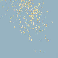 【Minimal OS】Probiotics Tofu Cat Litter 7L