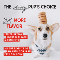 【Stella & Chewy's】Dog - Freeze-Dried Red Meat Dinner Patties 5.5oz & 14oz