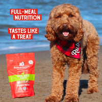 【Stella & Chewy's】Dog - Freeze-Dried Duck Dinner Patties - 14oz