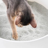 【PIDAN】Natural Sodium Bentonite Coarse Granules - 2.4kg (Box of 4)