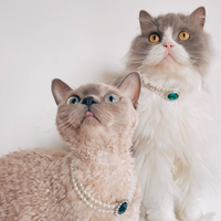 The Queen's Necklace