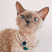 The Queen's Necklace