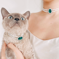 The Queen's Necklace