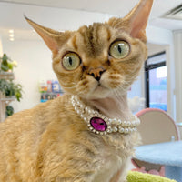 The Queen's Necklace