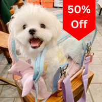 Luxury Transparent Macaroon Pet Travel Carrier
