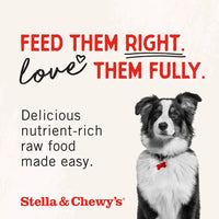 【Stella & Chewy's】Dog - Raw Blend Kibble - Red Meat Recipe