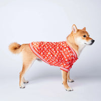 Street Fashion Cozy Padded Dog Jacket – Trendy Winter Warmth
