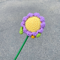 【PAWWAII】Aster Cat Teaser