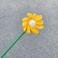 【PAWWAII】Little Daisy Cat Teaser