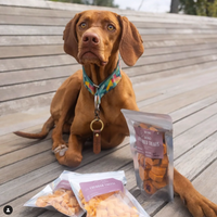 【Mimi & Soso】Dogs & Cats - Freeze Dried Treats - Herring - 20g