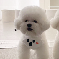 Playful Little Monster Bibs