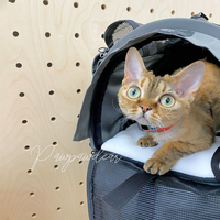 Sturdi Products SturdiBag Pro 2.0 - Small Carrier