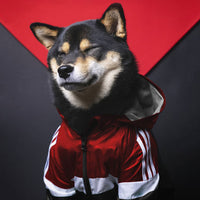 Reflective Wind & Rainproof Astronaut Jacket – Dog Raincoat