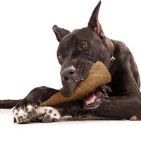 【Powerbone】The Ultimate Chew Toy - Bottle 6.5"