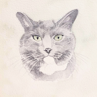 Same-Day Pet Portrait Painting - 5.5"x5.5" Canvas & Frame Included