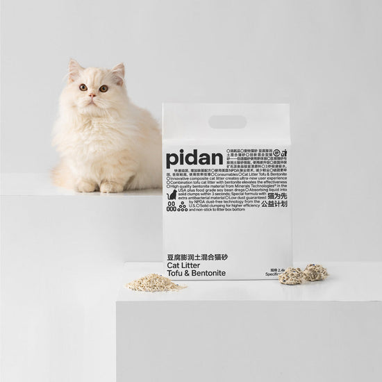 【PIDAN】Original Composite Tofu Cat Litter 6L - Box of 4