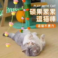 Fruity Bell Cat Teaser