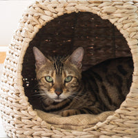 Rattan Cat Tree 98cm