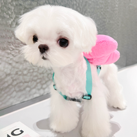 可爱的领结背包