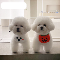 Playful Little Monster Bibs