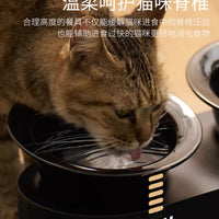 【Makesure】Cute Elevated Ceramic Pet Bowl
