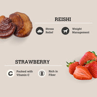 【Charmy】Dogs & Cats - When East Meets West Mushroom Bone Broth - Reishi & Strawberry - 2.5oz / 70g