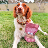 【Mimi & Soso】Dogs & Cats - Freeze Dried Treats - Rabbit Meatballs - 20g & 50g