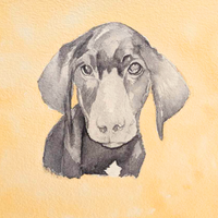 Same-Day Pet Portrait Painting - 5.5"x5.5" Canvas & Frame Included