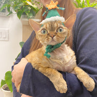 Christmas Lovely Cap - Green