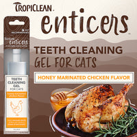 【TropiClean】Enticers Teeth Cleaning Gel for Cats - Honey Marinated Chicken Flavor