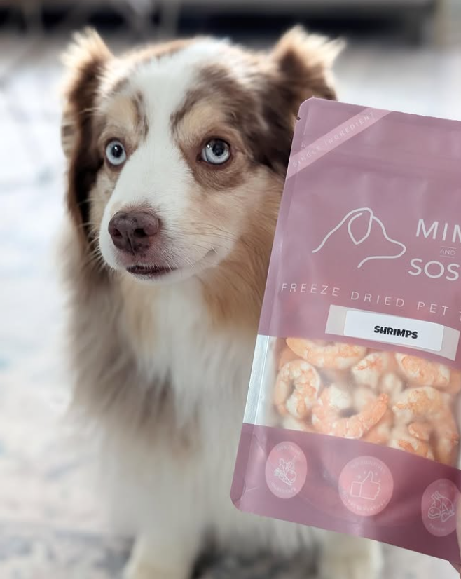 Mimi & Soso】Dogs & Cats - Freeze Dried Treats - Shrimp - 5g & 25g