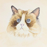 Same-Day Pet Portrait Painting - 5.5"x5.5" Canvas & Frame Included