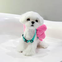 可爱的领结背包