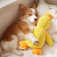 SnuggleDuck – Bark & Nap Buddy