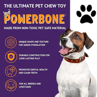 【Powerbone】The Ultimate Chew Toy - Guitar Dog 9.5"