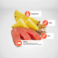 【FARMINA N&D 法米娜】天然藜麦系列干猫粮(消化健康)- 羊肉+藜麦 11lbs