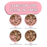 【Weruva】Kitten Gone Wild Wild Salmon Recipe Au Jus