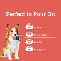 【Charmy】Dogs & Cats - When East Meets West Mushroom Bone Broth - Turkey Tail & Cranberry - 2.5oz / 70g