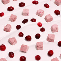【Wagging Bum】ANYTIME YOGURT! Freeze-dried Yogurt with Cranberry - 2oz / 56g