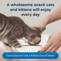 【PetAg】Cat-Sip Real Milk Supplement 8oz