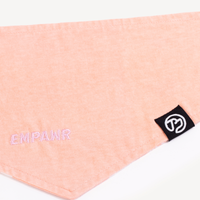 【EMPAWR】Baby Twins Dog Bandana Set - Reversible