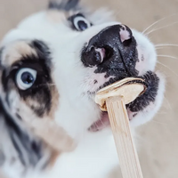 【Mimi & Soso】Dogs & Cats - Freeze Dried Treats - Blue Mussels - 50g