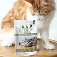 【Multipet】Catnip Garden 0.5oz