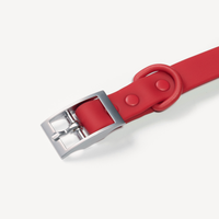 【EMPAWR】Dog Collar - Cherry