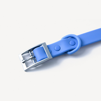 【EMPAWR】City Walk Kit (Leash and Collar) - Sky