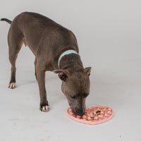 【DexyPaws】Hide+Seek - Blush Pink Heart Enrichment Snuffle Mat