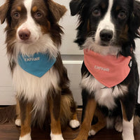 【EMPAWR】Power Twins Dog Bandana Set - Reversible