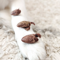 【Mimi & Soso】Dogs & Cats - Freeze Dried Treats - Chicken Hearts - 10g